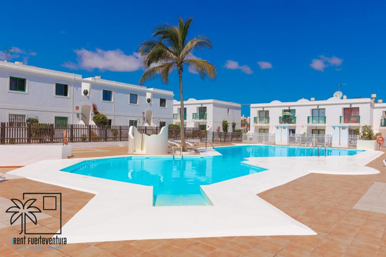 Passion Pool View & Wifi By Irent Fuerteventura Corralejo Lägenhet Exteriör bild